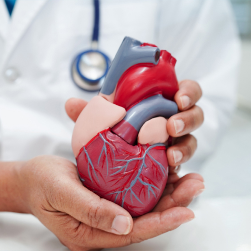 Experienced Cardiologists icon