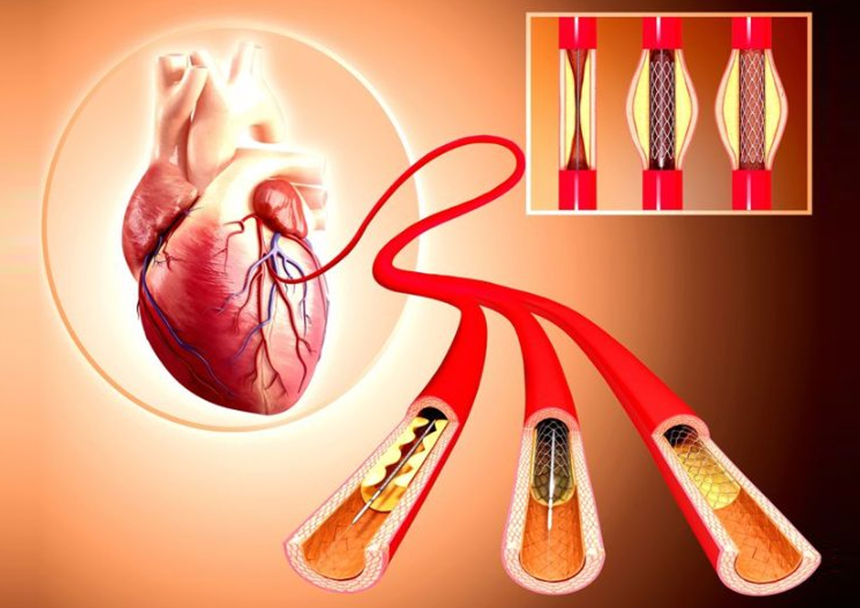 Clinic / Consultation